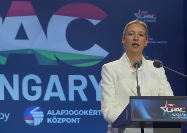 AfD soars to historic high, surpasses CDU in latest polls